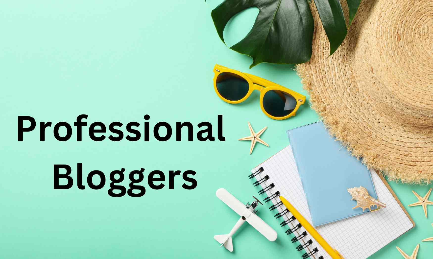 What Does it Take to Become a Professional Blogger?